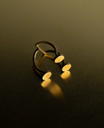 Ring Form 3